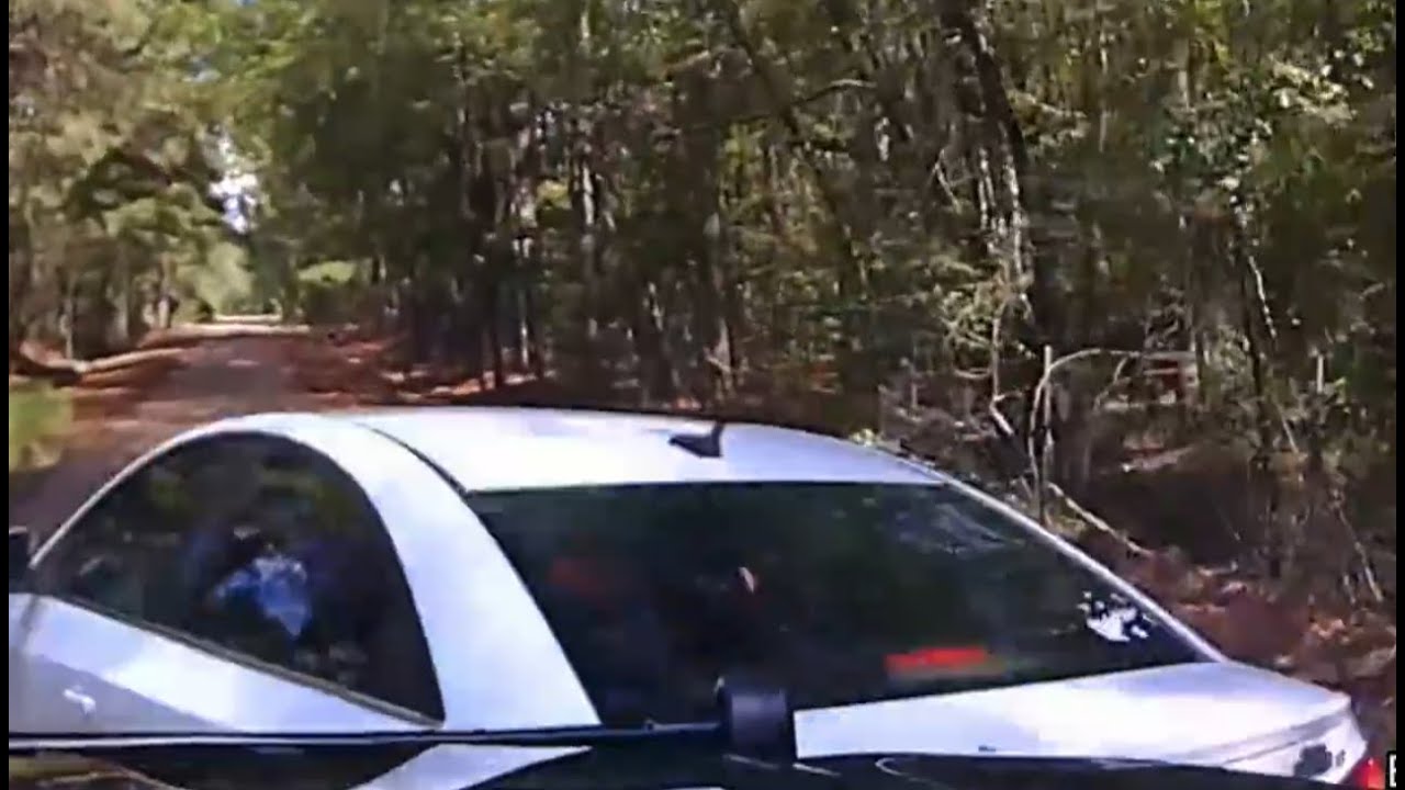 High-Speed Chase Through Forest Ends in Arrest
