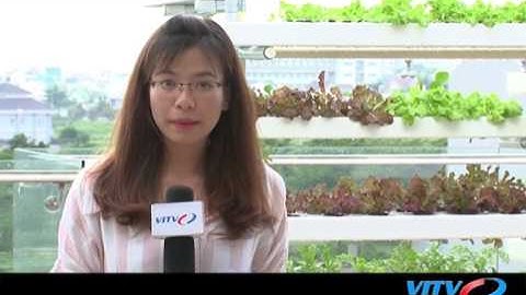 VITV - Startup 360 - Khởi nghiệp AgriTech - Khó khăn chưa có nút gỡ