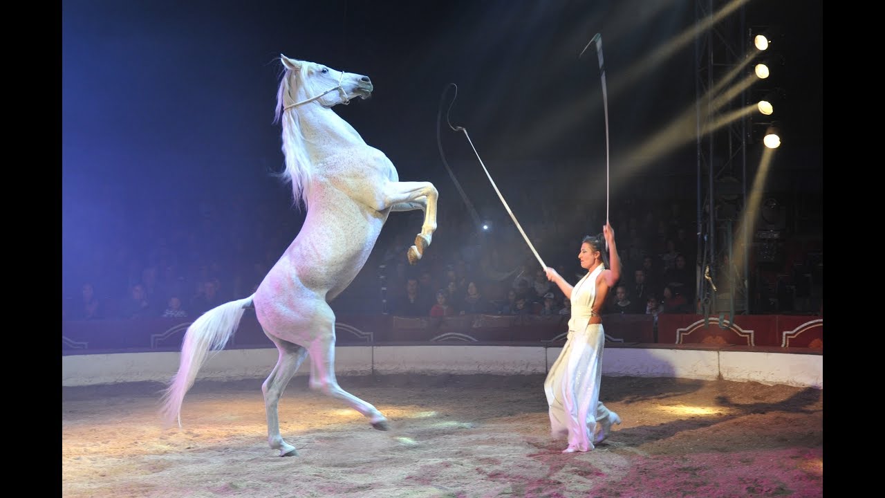 Cristina Magli Togni liberty horses Circus Louis Knie 2019 YouTube
