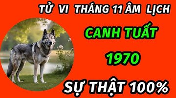 Tử vi trong tháng 11 âm lịch cho tuổi canh Tuất 1970 bão lộc đổ về trúng mánh đổi đời giàu cực khủng