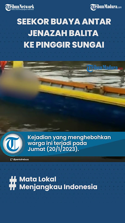 Video Viral Seekor Buaya Antar Jenazah Balita ke Pinggir Sungai, Ternyata Sudah Terjadi 3 Kali