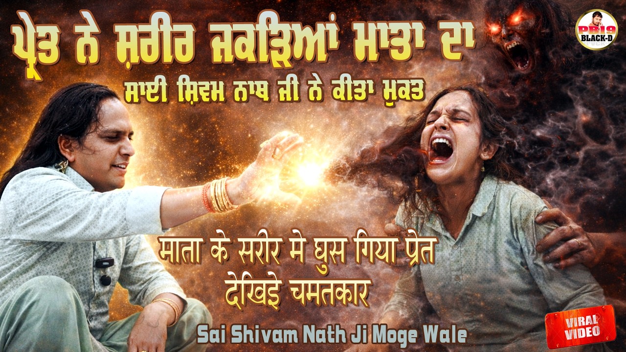 Sai Shiv Nath Ji Moga || Sai Shivam Nath ji Moge Wale || Choki Peera Di || Diwan Peera Da Live 2026