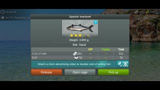 My Fishing World : Испанская Макрель (Ежедневное Задание, Пещера Пашабей) #myfishingworld