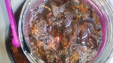 ngâm rượu hà thủ ô đỏ bổ dưỡng.