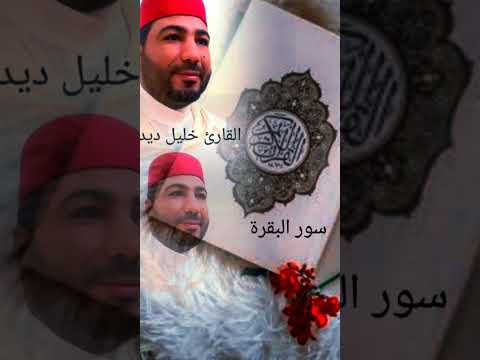 أجمل قراءة بصوت القارئ خليل ديدي  