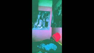 La Maldición 3 7489F49A 9918 45Fa 841B B76A42709A1C