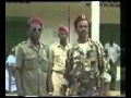 الجيش التشادى 