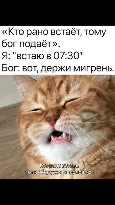 Кто рано встает, тому Бог подает - YouTube