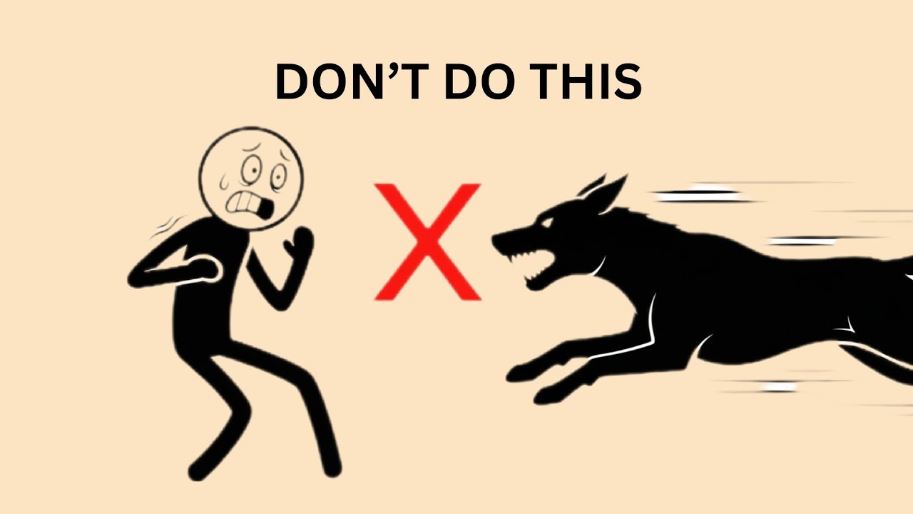 3 Things You Should NEVER Do When a Dog Chases You