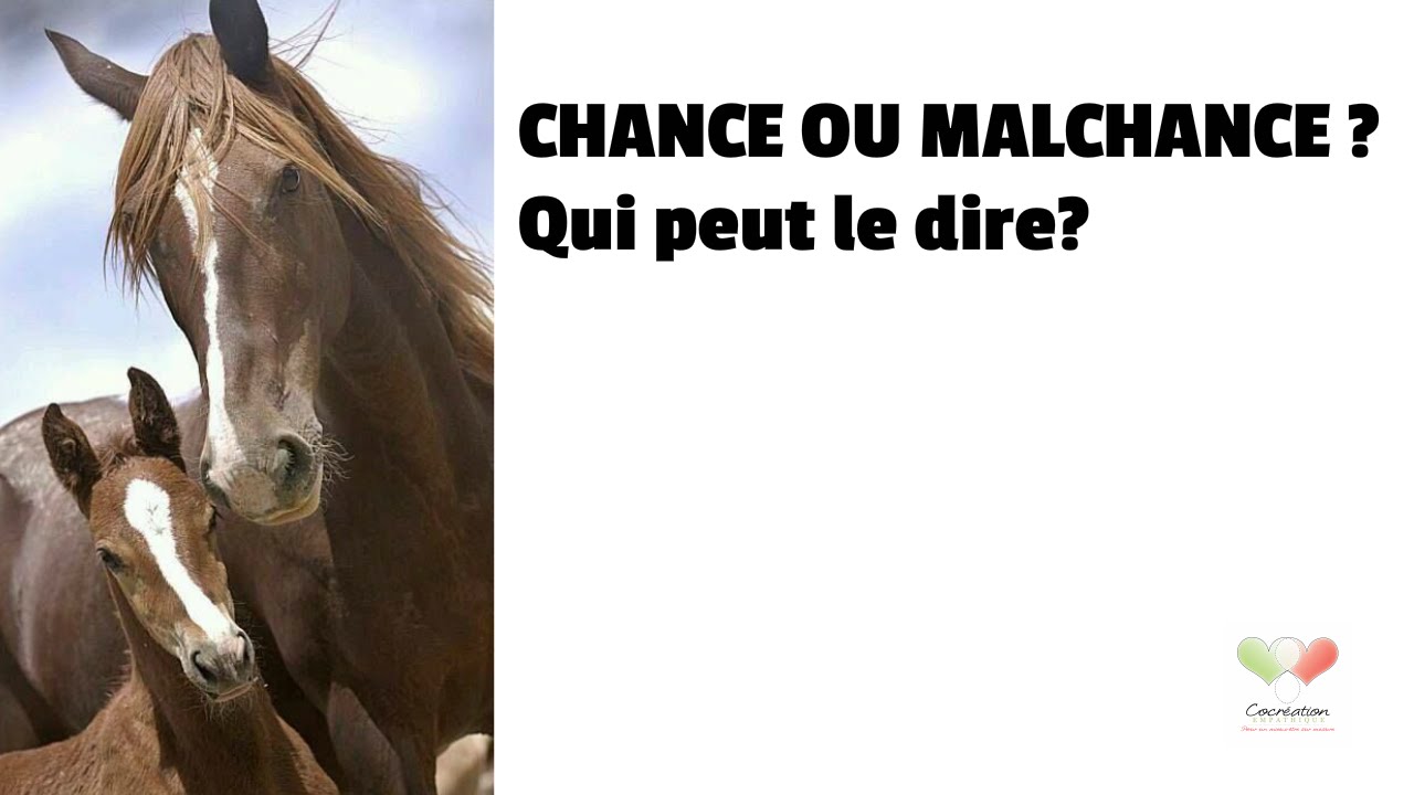 Métaphore Chance ou malchance ? Qui peut le dire? - YouTube
