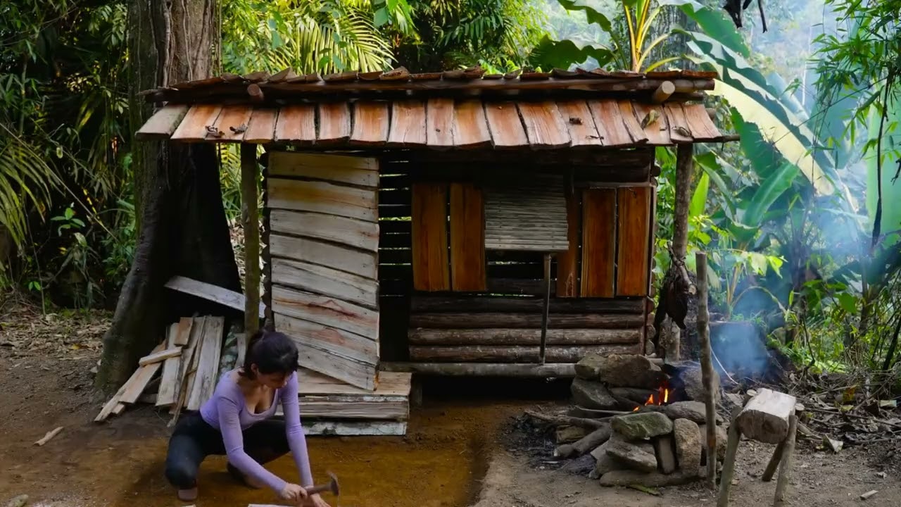 Complete wilderness shelter, Pick wild vegetables and cook smoked fish, Live With Nature