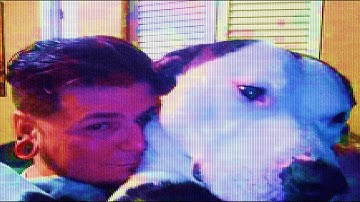 Voice Comparison and Information on James Brian Chadwell #delphimurders