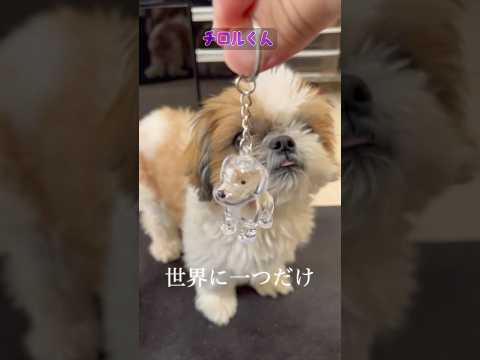 ペットの想い出キーホルダー