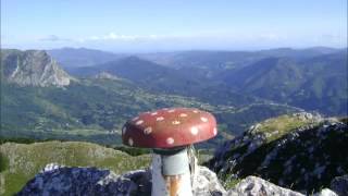 20130729 Malloak Parte 1/2