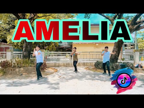 AMELIA (Tiktok Viral) by Besa ft Mattyas | DJ Jurlan Remix | Dance Fitness