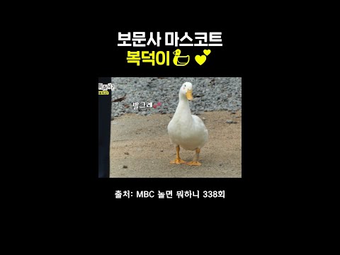 발그레 복덕이 #<strong>김광규</strong> #놀면뭐하니