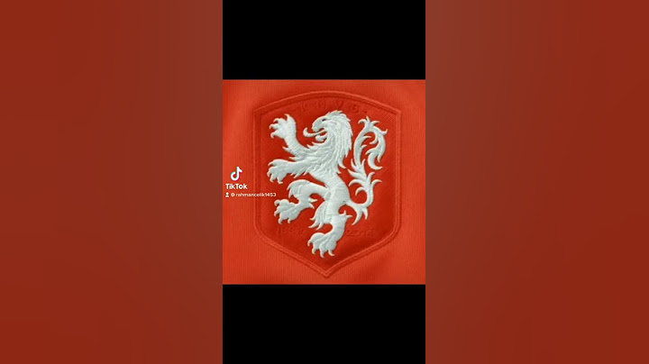 TÜRKİYE HOLLANDA FUTBOL MAÇI #türkiye #hollanda #turkey #türkiyemillifutboltakımı