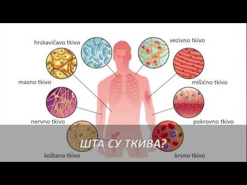 Video: Ljudsko Tijelo Nije Prošlo Evolucijom: Kirurzi Su Ispitivali Darwinovu Teoriju - Alternativni Prikaz