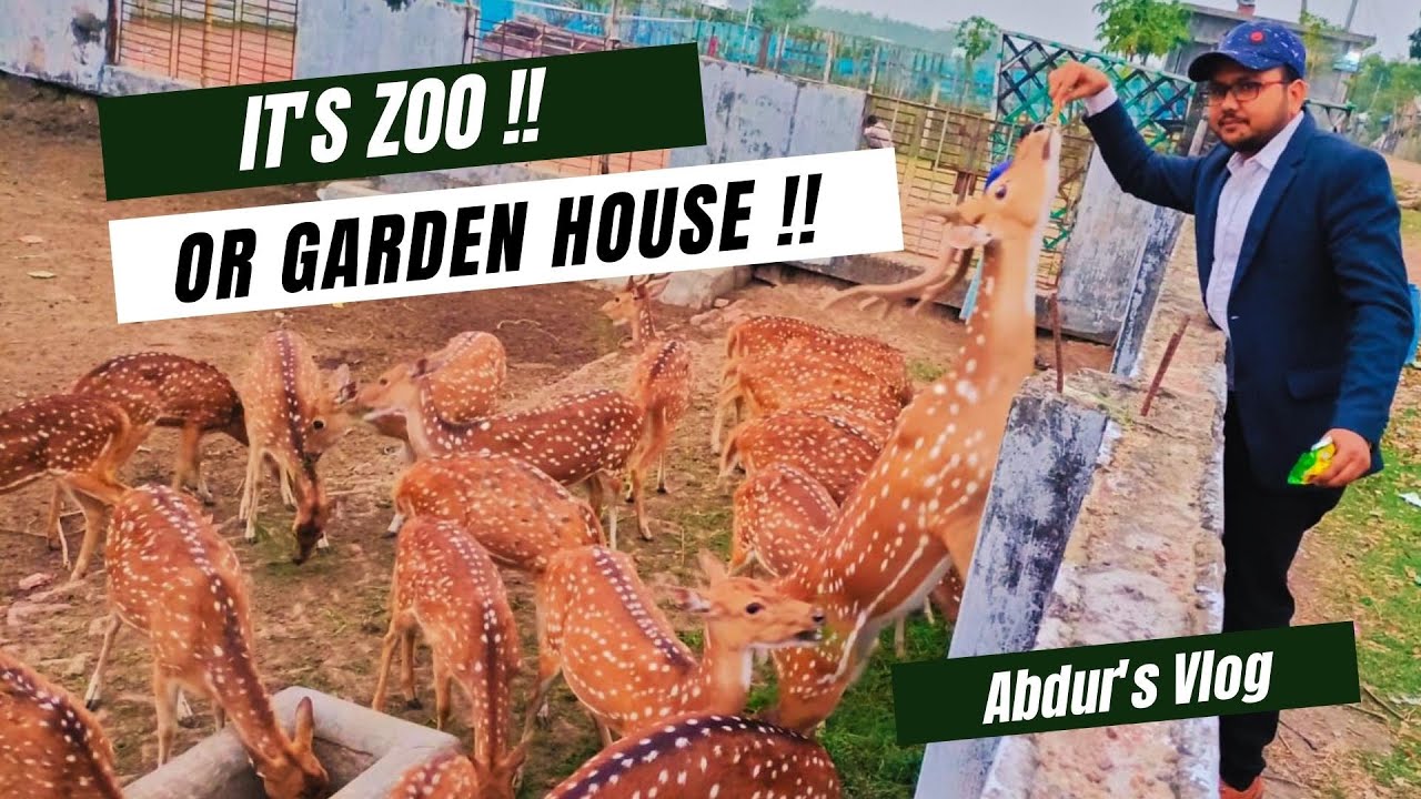 How Its Look? it’s Zoo !! Or Garden House !! i am confused || Abdur's Vlog ||