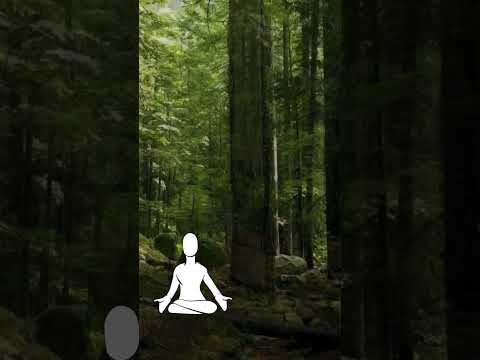 1 Minute Guided