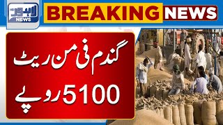 Gandum Fee Mann Rate 5100 Rupee | Lahore News HD