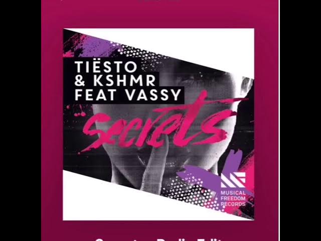 Tiesto and vassy secrets reversed