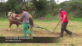 Curs Tracció Animal El Turó d'en Rompons