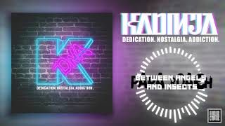 KADINJA - Between Angels and Insects [PAPA ROACH COVER] (Official Audio Stream)