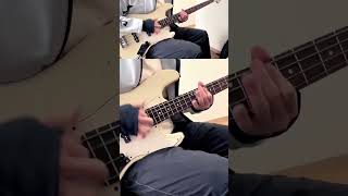 スラップしていいですか？ #ぼっちざろっく #BocchiTheRock #山田リョウ #ベース弾いてみた #BassCover エッセル -EsseL- Music