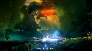 Ori and the Will of the  Wisps: Bug Boss