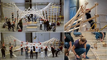 Asymptotic Timber Gridshell 2.0 - Timelapse