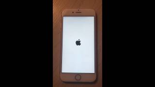 iOS 10.1 Remote and Persistent Rogue App Install screenshot 5