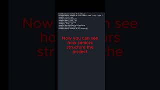 Only Noobs Use FastAPI Like This - Python Tutorials