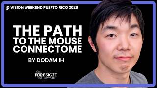 Dodam Ih The Path To The Mouse Connectome Vision Weekend Puerto Rico 2026