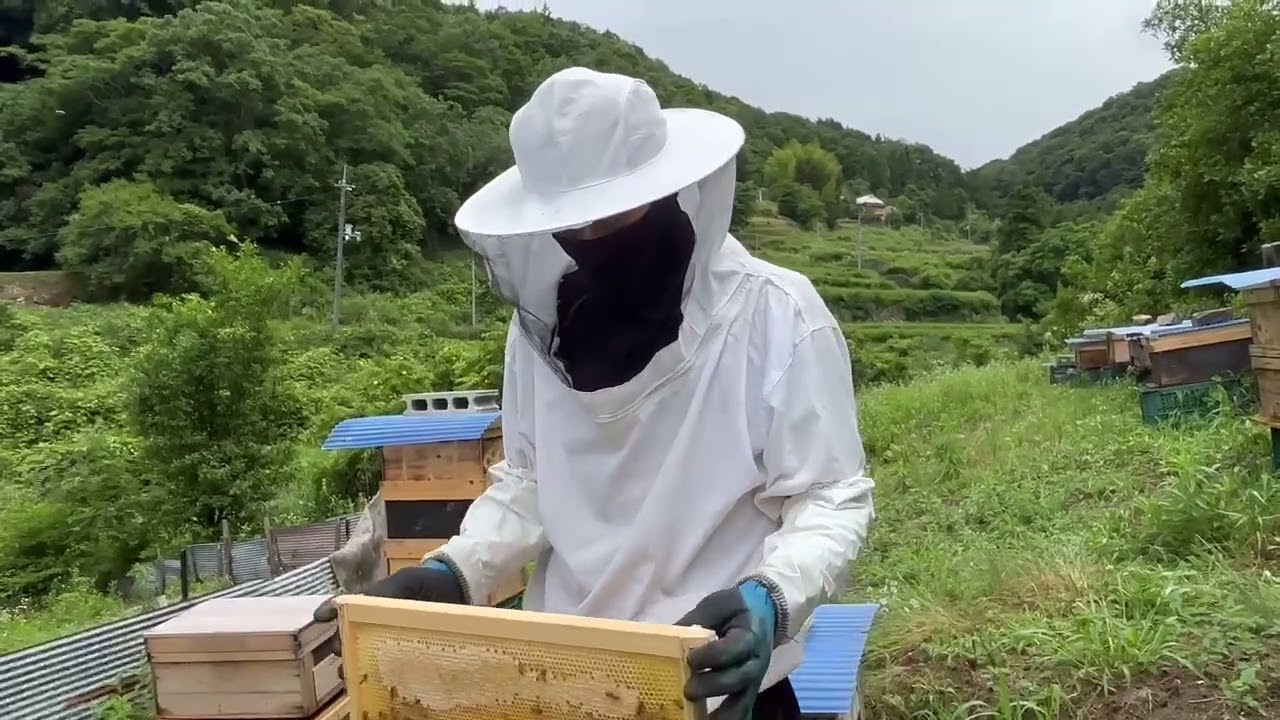 ひと口で一目ぼれ！】岡山県足守の非加熱・無加工の純粋はちみつで里山