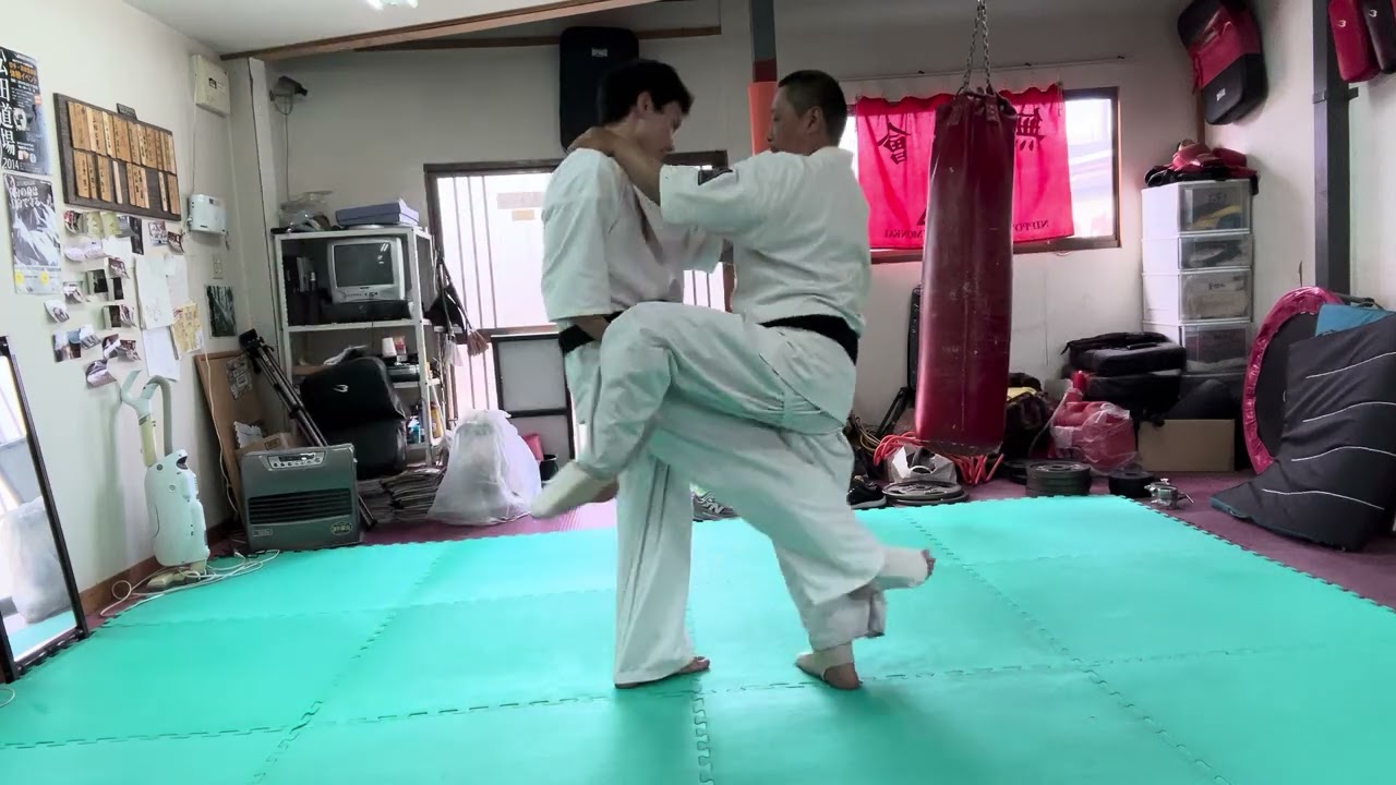 猫足立ち約束自由組手②