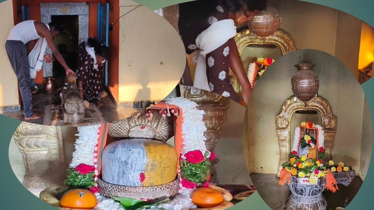 మహా శివరాత్రి రోజు శివుడికి అభిషేకం చేసాం||అంధరికి మహా శివరాత్రి శుభకాంక్షలు🙏🔱🙏||ఓం నమః శివాయ 🙏🙏🙏