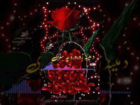     پشتو شعرونہ گرین سکرین
