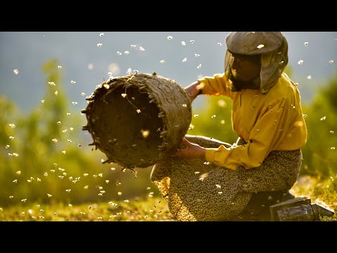 Στη Γη του Άγριου Μελιού (Honeyland) Trailer | GR Subs