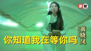 黄晓凤 Angeline Wong丨你知道我在等你吗｜Official 4K Music Video