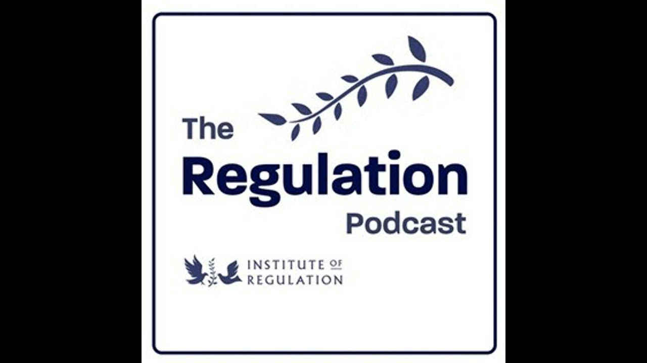 Episode 13: Fundamentals of Regulation with Professor Martin Lodge