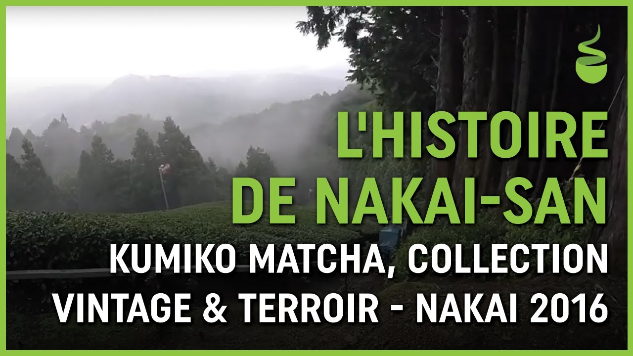L'Histoire de Nakai-san : Kumiko Matcha, collection vintage & terroir - Nakai 2016