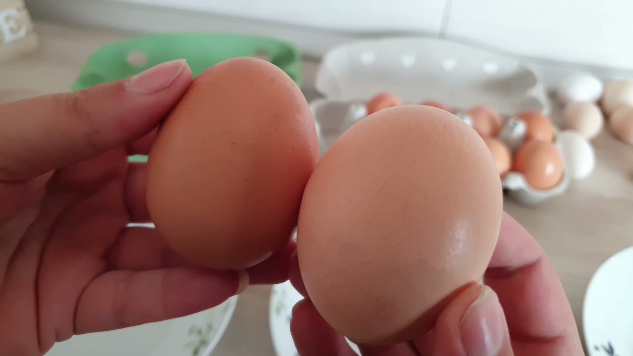 🐣❌ Diferenta dintre Ouale Bio Organice Ecologice VS cele de Casa !!! 🐣