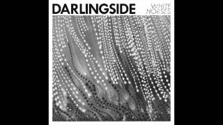 Darlingside &quot;White Horses&quot;