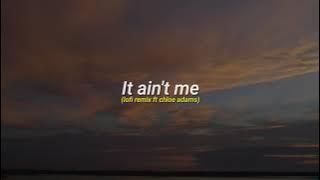 It ain't me cover (Lofi remix ft chloe adams)