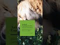 Unlock the Power of Animal Communication