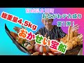 【チャレンジ】メガ海鮮丼！おかせい宝船　総重量4.5kg【デカ盛り】