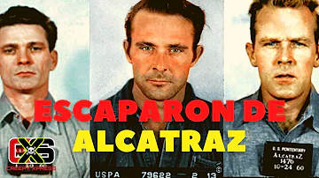 ¿Qué hicieron los 3 hombres que escaparon de Alcatraz?