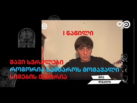 თავის დრო #40.5 - შავი ხვრელები, სამყაროს მომავალი, სიმების თეორია(გია დვალი)