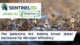 The Balancing Act: Making Smart Water Decisions for Nitrogen Efficiency